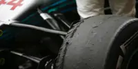 Fotostrecke: GP Brasilien: Fahrernoten der Redaktion