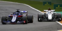 Foto zur News: Ericsson aufhalten: Hartley muss Rennen für Gasly opfern