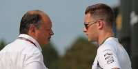 Foto zur News: Vasseur: Stoffel Vandoorne kein Thema für Sauber 2019
