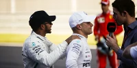Foto zur News: Mercedes in Sotschi: Verschwörung nein, Stallorder ja (jein)