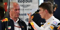 Foto zur News: Wie Helmut Marko die Red-Bull-Junioren aussucht
