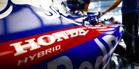 Foto zur News: Weitere Motorwechsel: Toro Rosso auch in Austin am Ende des Feldes