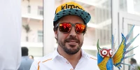 Foto zur News: Lance Stroll nach Alonso-Schelte: Nicht miteinander gesprochen