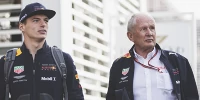 Foto zur News: Max Verstappen über Honda-phorie: Red Bull lügt nicht!