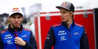 Foto zur News: Schon wieder Zwist Hartley vs. Gasly nach ignorierter Teamorder