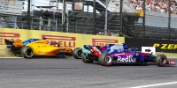 Foto zur News: Brendon Hartley: So fair wie Fernando Alonso fahren nicht viele