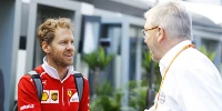 Foto zur News: Ross Brawn: Vettel darf nicht nur "neutraler Passagier" bei Ferrari sein