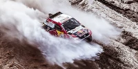 Foto zur News: Fernando Alonso soll Toyotas Rallye-Dakar-Fahrzeug testen