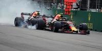 Foto zur News: Toro-Rosso-Teamchef über Stallcrashs: "Als würdest du mit einem Baum reden"