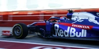 Foto zur News: Toro Rosso: Planen Saison mit drei Honda-Motoren