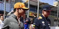 Foto zur News: Max Verstappen: Macht ihn SimRacing zu einem besseren Fahrer?