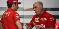 Foto zur News: Lernprozess bei Charles Leclerc: Jock Clear ist sein Fahrer-Mentor