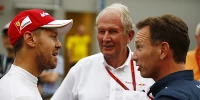 Foto zur News: Vettel-Rückkehr zu Red Bull? Das sagt Christian Horner!