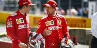 Foto zur News: Ralf Schumacher: Vettel muss auf Nummer-1-Status aufpassen