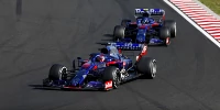 Foto zur News: Toro Rosso zufrieden: "Haben kaum Punkte liegen lassen"