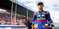 Foto zur News: Nach E-Sport-Saisonstart: Gasly will im Sim-Racing aktiver werden