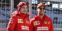 Foto zur News: Vettel über verlorene Quali-Duelle: Kann nachts noch schlafen