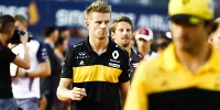 Foto zur News: Carlos Sainz: Habe viel von Nico Hülkenberg gelernt