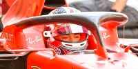 Foto zur News: Charles Leclerc: Mache jeden Fehler nur einmal