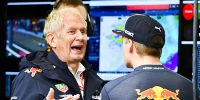 Foto zur News: Helmut Marko: Hamilton immer noch besser als Verstappen!