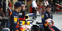 Foto zur News: Alexander Albon: Max Verstappen beschleunigt meinen Lernprozess