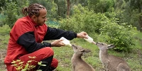 Foto zur News: Formel-1-Liveticker: Nach Buschfeuern - Hamilton verschafft sich Eindruck