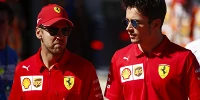 Foto zur News: Leclerc über Vettel-Kollision: &quot;Nach Brasilien war es ein wenig schwierig&quot;