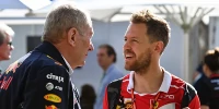 Foto zur News: Helmut Marko glaubt: &quot;Sebastian Vettel wird aufhören, wenn...&quot;