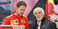 Foto zur News: Bernie Ecclestone: Vettel möchte bei Mercedes gegen Hamilton fahren