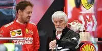 Foto zur News: Ecclestone rät Vettel: &quot;Von Mercedes träumen bringt doch nichts&quot;