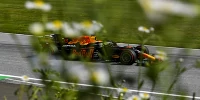 Foto zur News: F1 Spielberg 2020: Provisorische Freitags-Pole für Max Verstappen