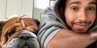 Foto zur News: Lewis Hamilton und Mercedes: Was steckt hinter dem Einjahresvertrag?