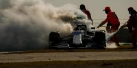 Foto zur News: Franz Tost: AlphaTauri dürfen 2021 keine vier Ausfälle mehr passieren