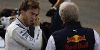 Foto zur News: Johnny Herbert: Kann Pierre Gasly 2022 Sergio Perez bei Red Bull ablösen?