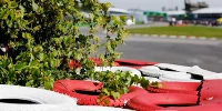 Foto zur News: Für das Weltklima: FIA verordnet &quot;Baum-Prämie&quot; für jeden Formel-1-WM-Punkt