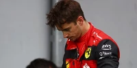 Foto zur News: Helmut Marko: Leclerc hat genau so viel Glück wie Hamilton - &quot;Unglaublich&quot;