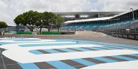 Foto zur News: Miami: Leguane als unübliche Gefahr für die Formel 1