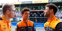 Foto zur News: Andreas Seidl: Ricciardo nicht schuld an Niederlage gegen Alpine