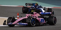 Foto zur News: Pierre Gasly: Top-4-Teams sind für Alpine außer Reichweite