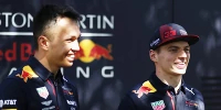 Foto zur News: Ex-Teamkollege Alex Albon: Das macht Verstappen so gut