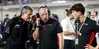 Foto zur News: Günther Steiner: Junge Fahrer &quot;müssen einfach warten&quot;