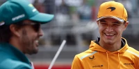 Foto zur News: Stella: Norris ist die "gleiche Kategorie" wie Schumacher, Alonso & Co.