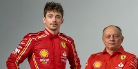 Foto zur News: Charles Leclerc: Vasseur schert sich nicht um Gerüchte - und das ist gut so!