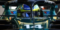 Foto zur News: Fernando Alonso: "19 Fahrer glauben jetzt, sie werden 2024 nicht Weltmeister"