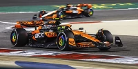Foto zur News: Zak Brown sicher: Piastri und Norris in der Formel 1 am engsten beieinander