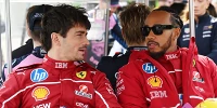 Foto zur News: Hamilton: Arbeitsmoral hat mich an &quot;Mr. Ferrari&quot; Leclerc besonders erstaunt