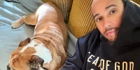 Foto zur News: Sorge um Roscoe: Hamilton bekommt bei jeder WhatsApp einen Herzstillstand