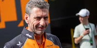 Foto zur News: Andrea Stella: Weit und breit kein McLaren-Stallkrieg in Sicht