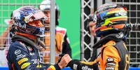 Foto zur News: McLaren-Teamorder Monza: Verstappen stellt klar, was er getan hätte