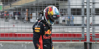Foto zur News: Daniel Ricciardo